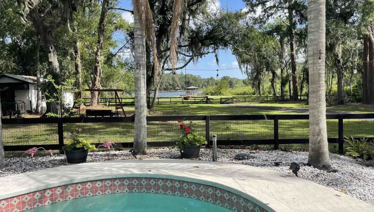 Photo of Outdoor in Citrus Park