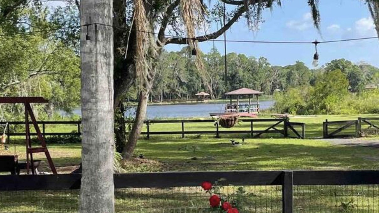 Photo of Outdoor in Citrus Park
