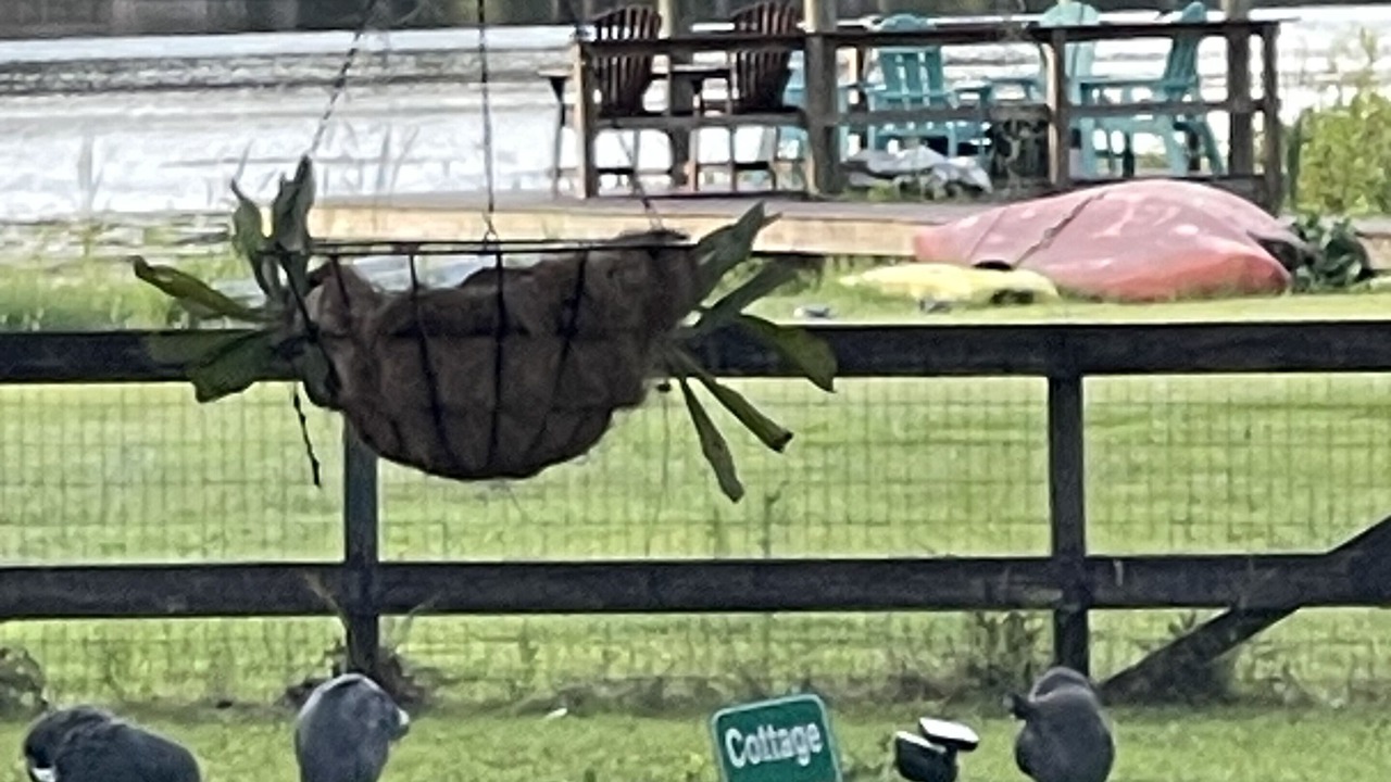 Photo of Outdoor in Citrus Park