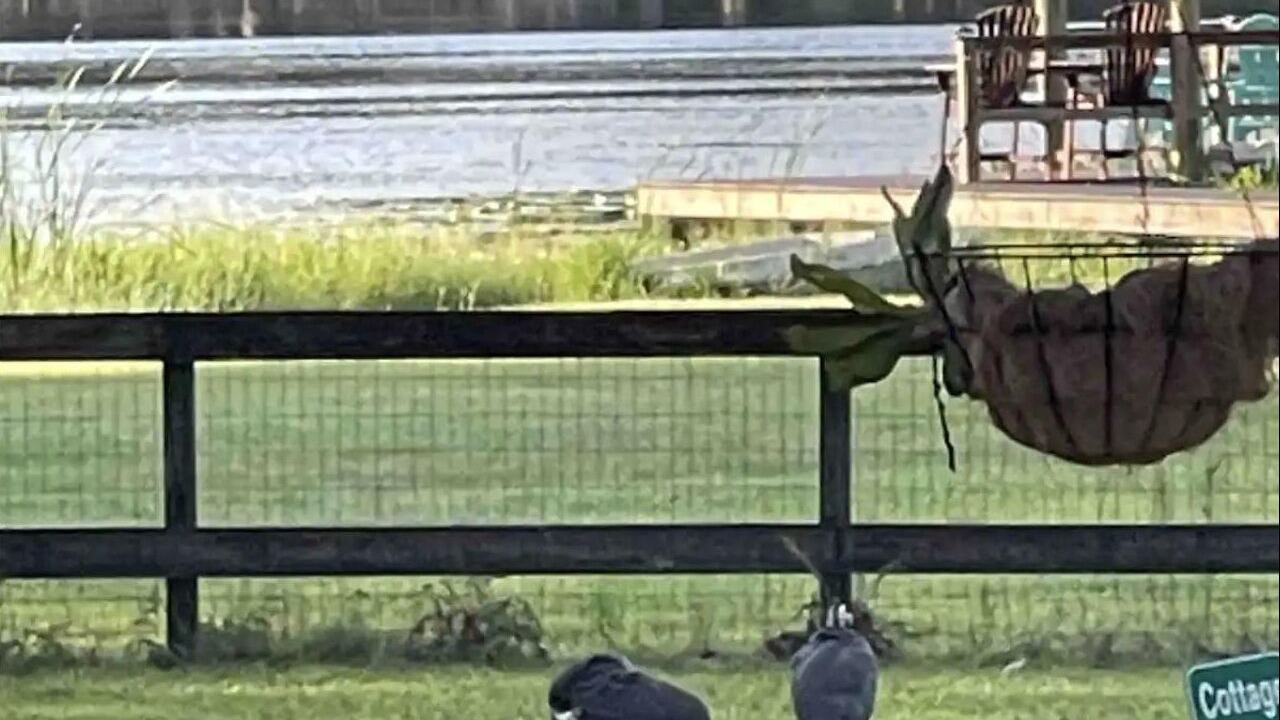 Photo of Others in Citrus Park