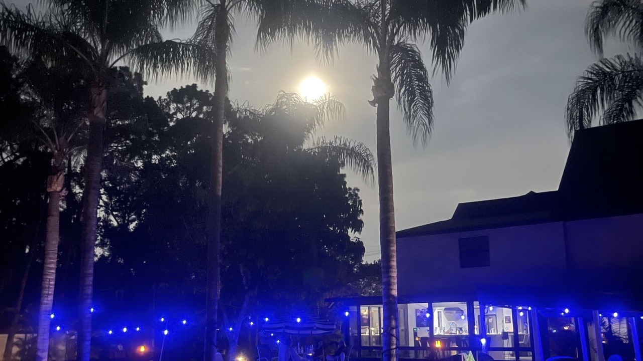 Photo of Outdoor in Citrus Park
