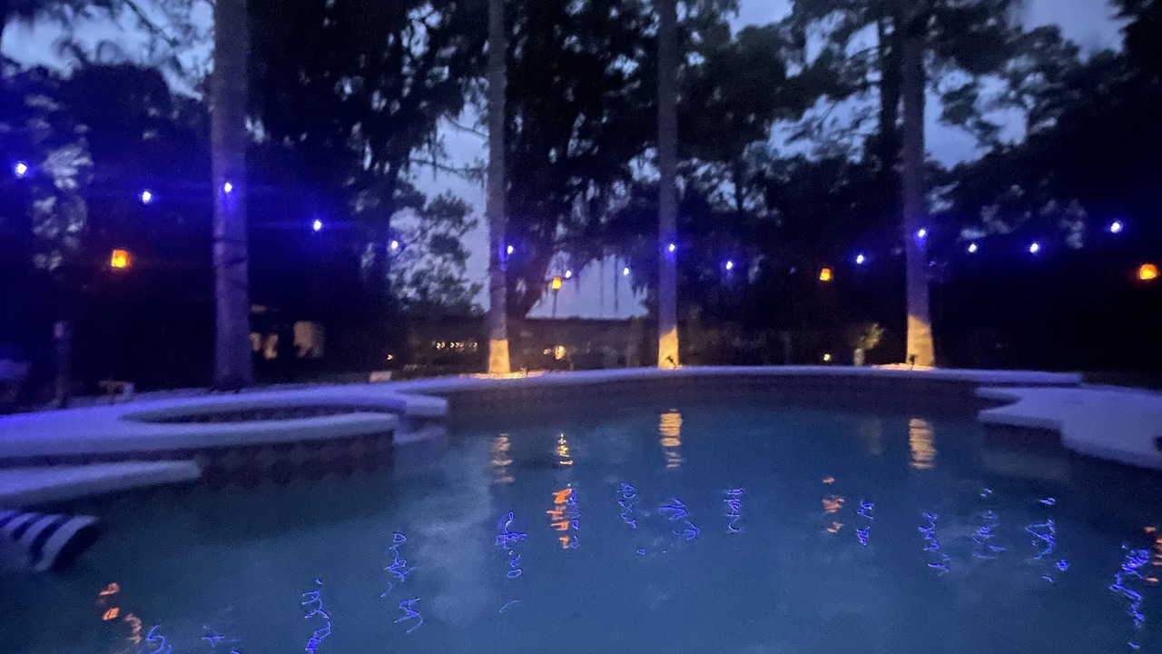 Photo of Outdoor in Citrus Park
