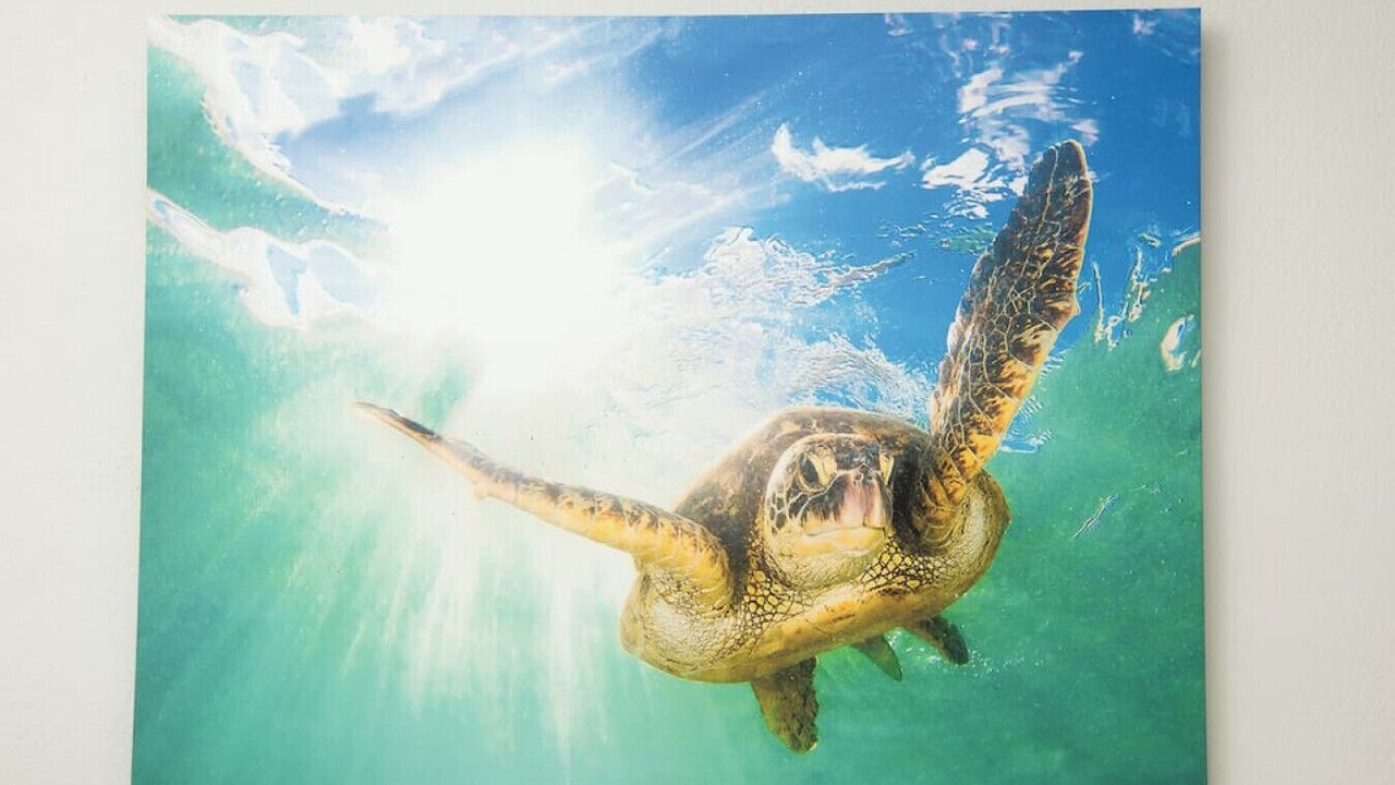 Photo of Others in Lake Ridge