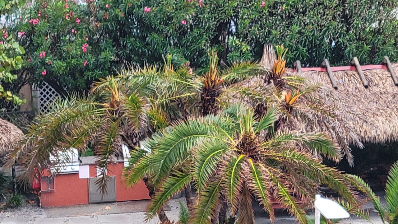 Photo of Others in North Redington Beach