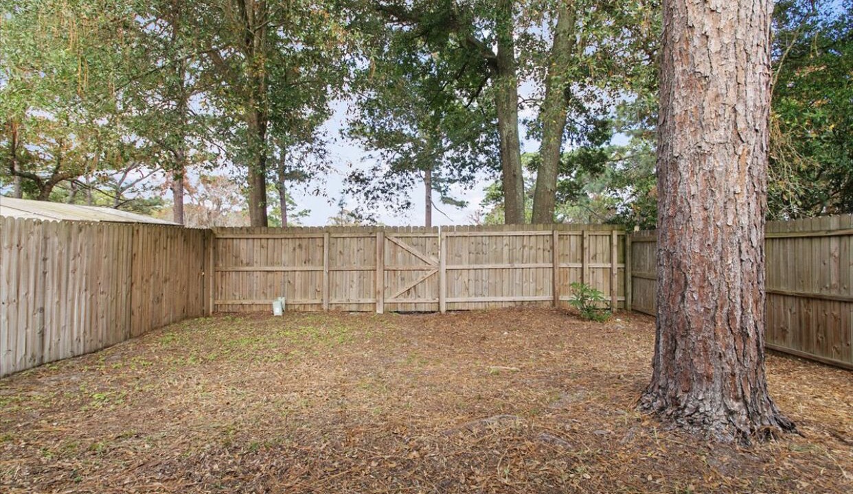 Photo of Outdoor in Arlington