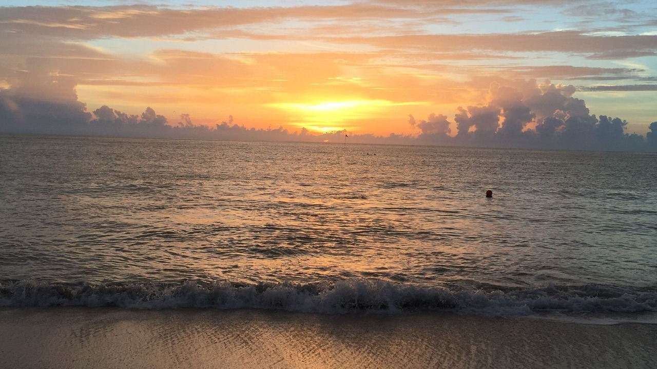 Photo of Others in Indian River Shores