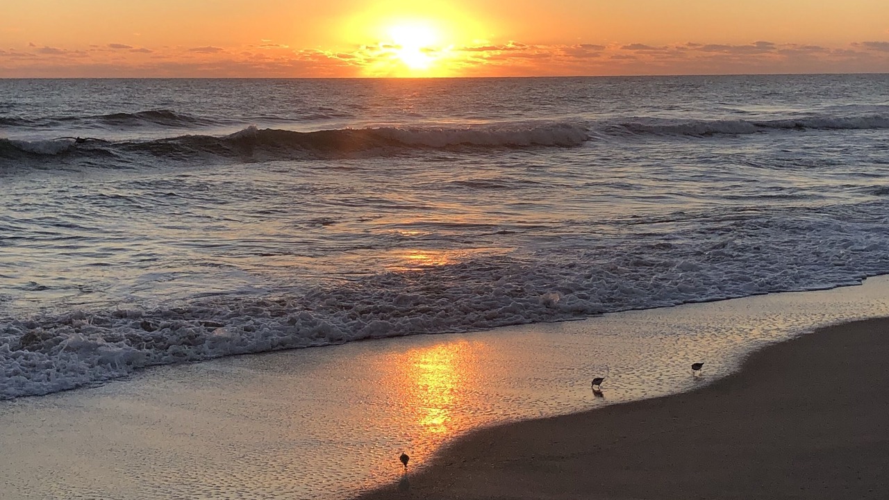 Photo of Others in New Melbourne Beach