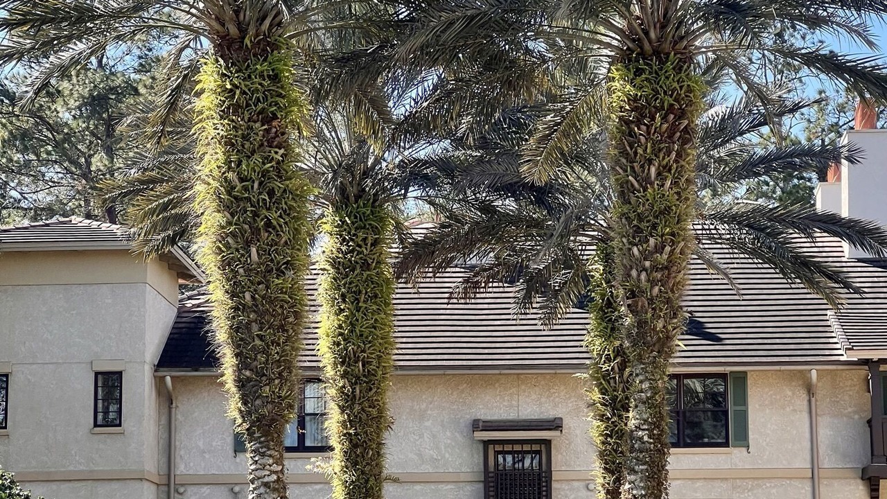 Photo of Outdoor in St. Augustine