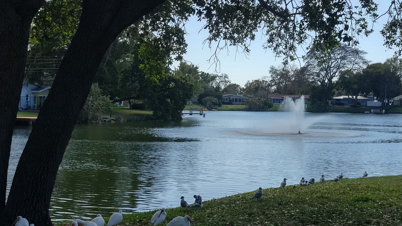 Photo of Outdoor in South Pinellas Community Council