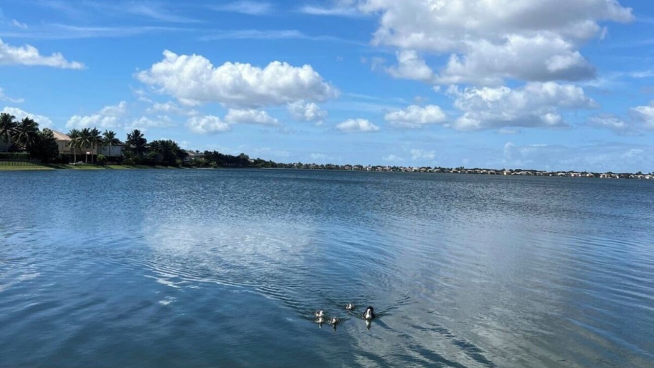 Photo of Others in SilverLakes