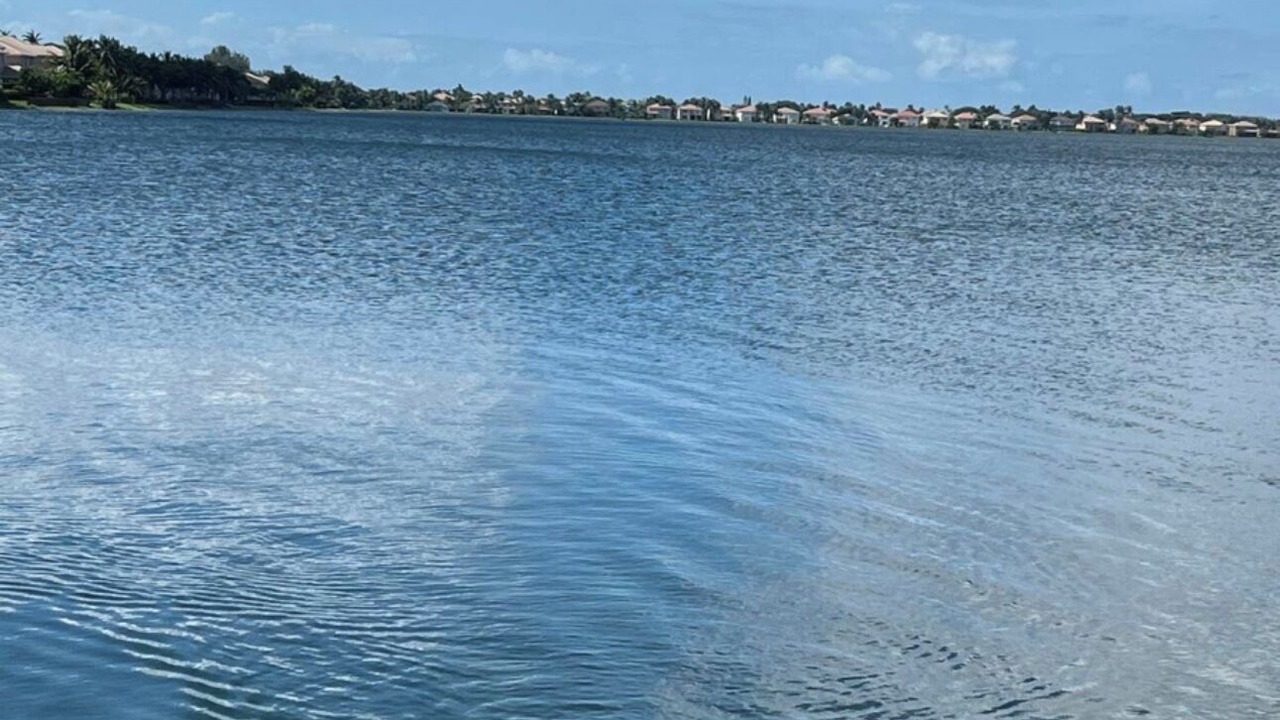 Photo of Others in SilverLakes
