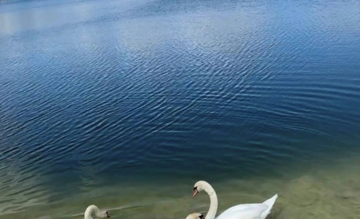 Photo of Others in SilverLakes