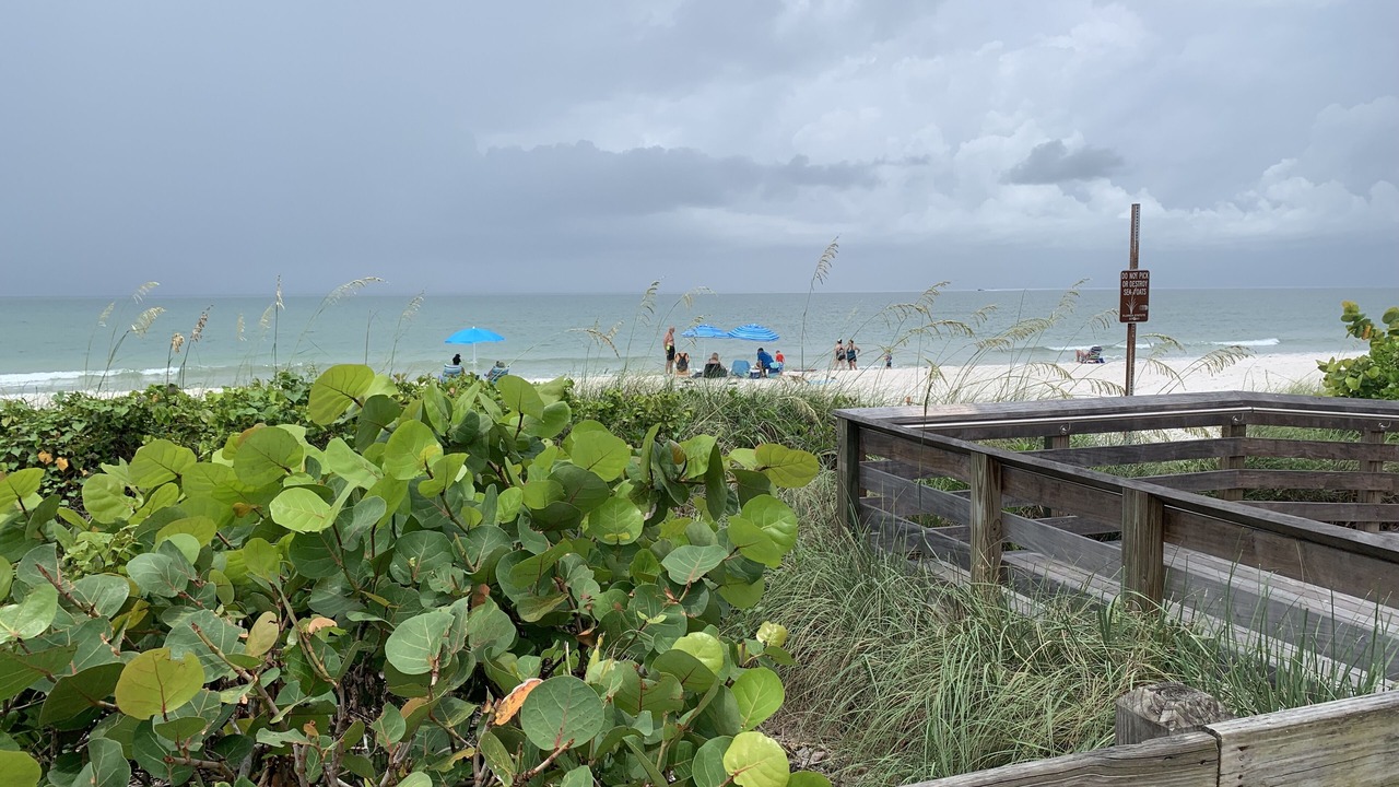 Photo of Others in Old Naples