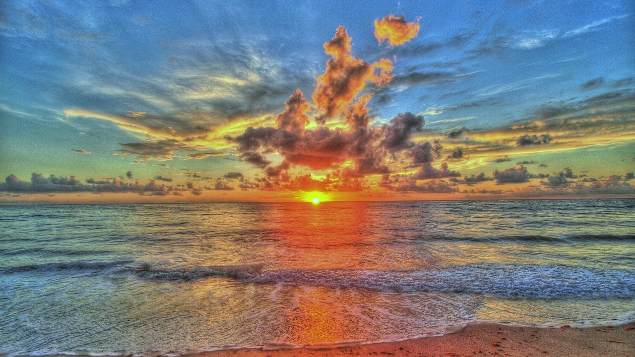 Photo of Others in Hutchinson Island South
