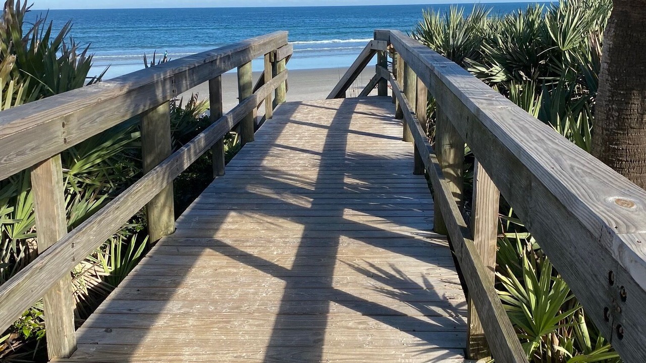 Photo of Others in New Smyrna Beach