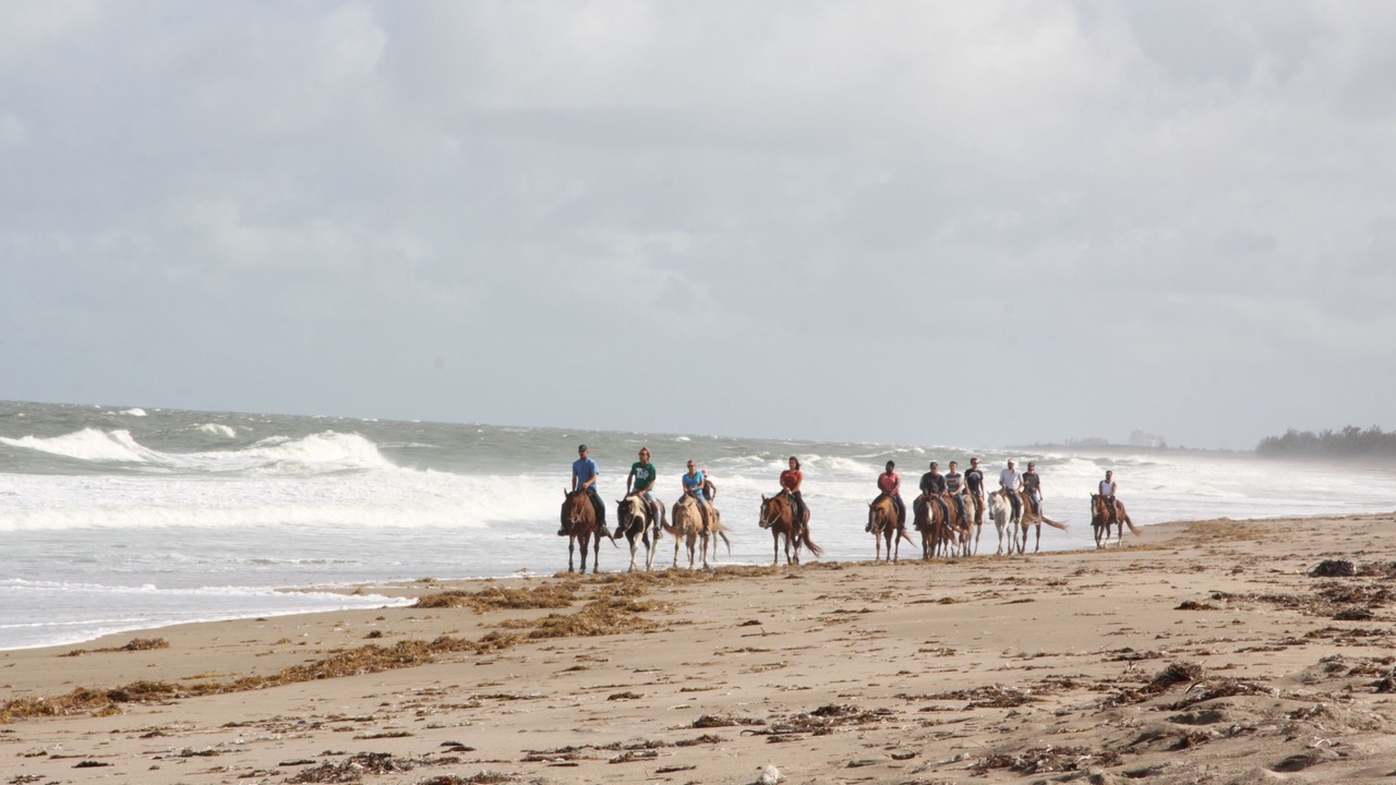 Photo of Others in Fort Pierce Shores