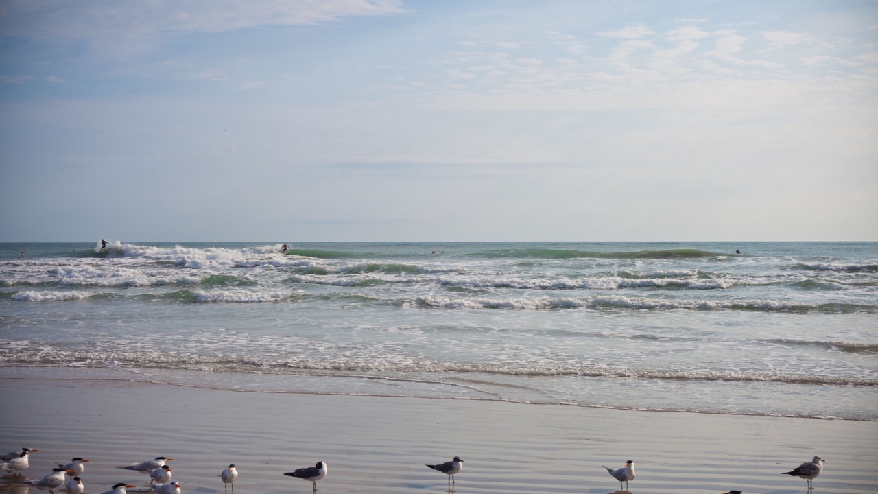 Photo of Others in Fort Pierce Shores