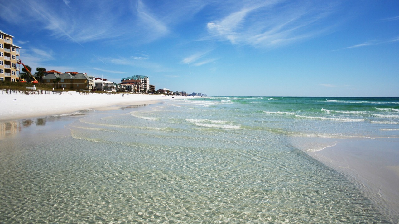 Photo of Others in Avalon Beach Estates