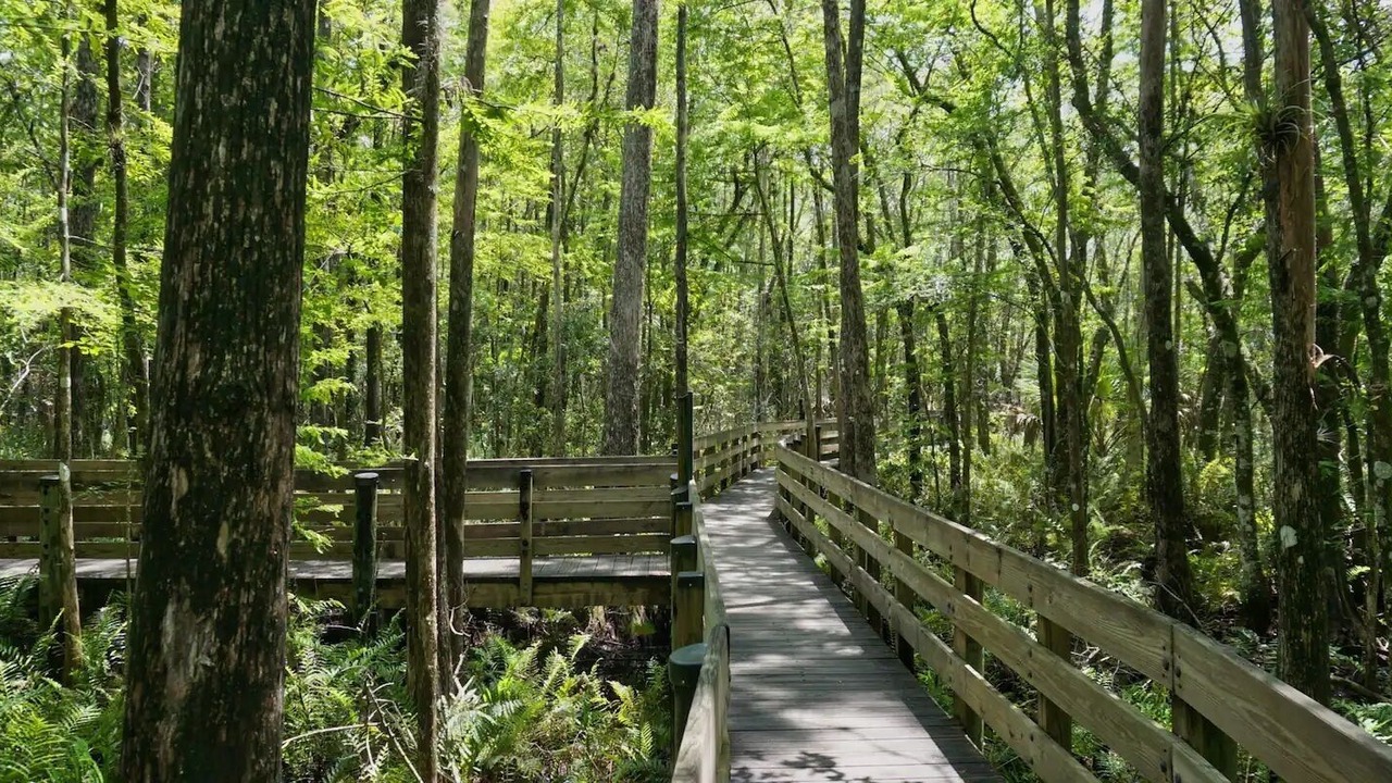 Photo of Outdoor in San Carlos Park