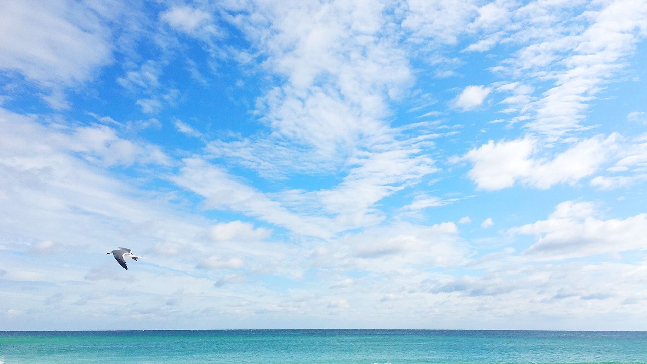 Photo of Others in Miramar Beach