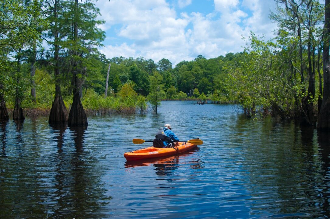 Photo of Others in Wewahitchka