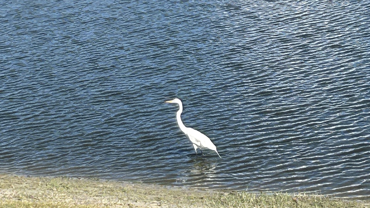 Photo of Others in Lynnhaven