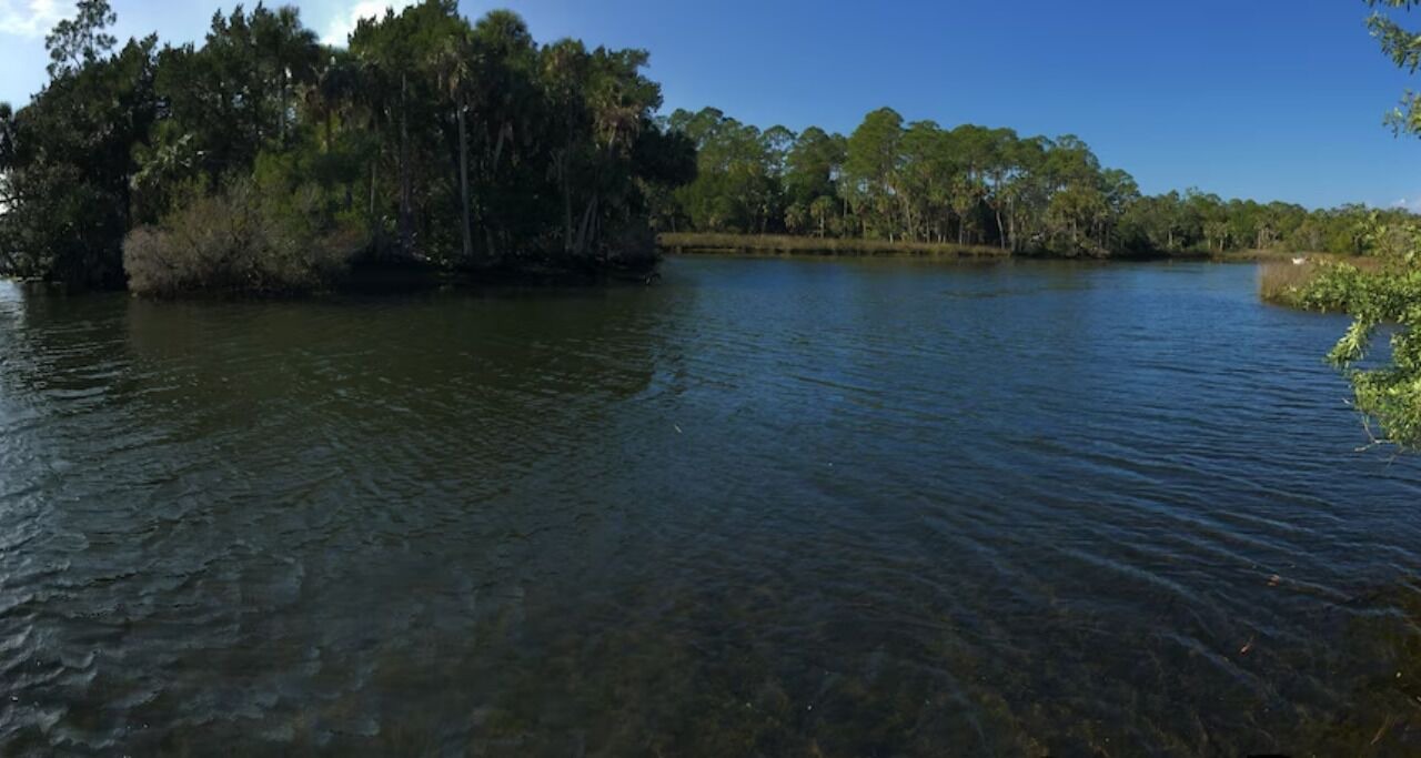 Photo of Others in Weeki Wachee Gardens