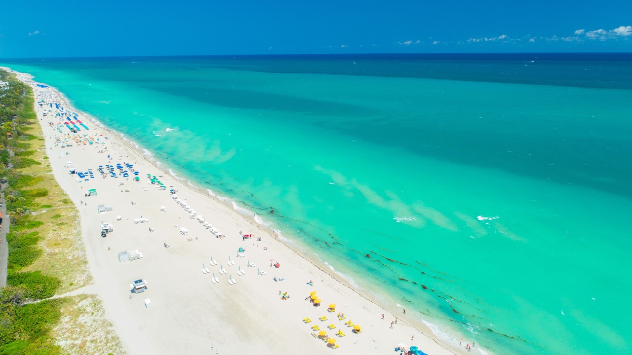 Photo of Others in South Beach