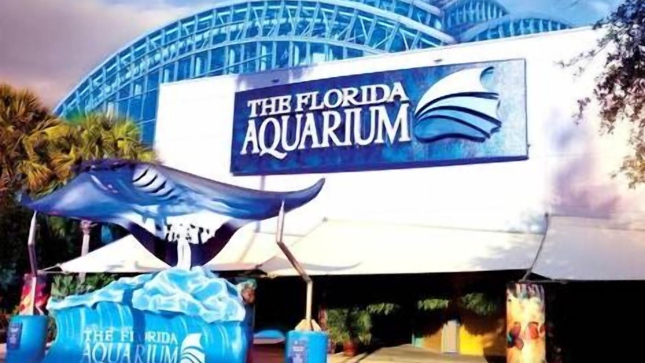Photo of Others in Egypt Lake-Leto