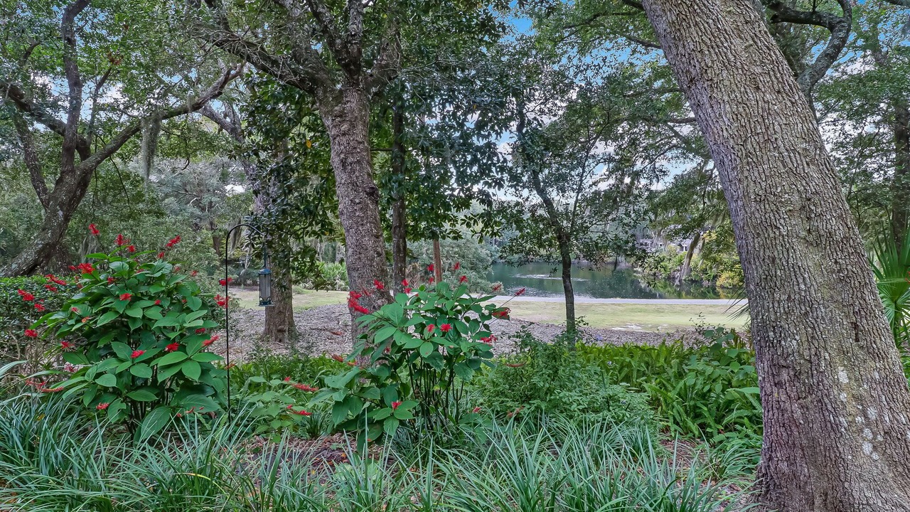 Photo of Outdoor in Fernandina Beach