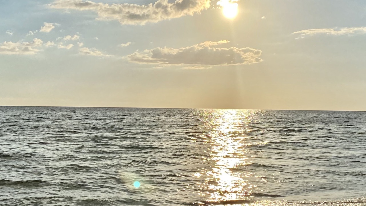 Photo of Others in West Panama City Beach