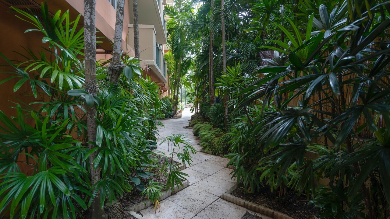 Photo of Outdoor in Coconut Grove