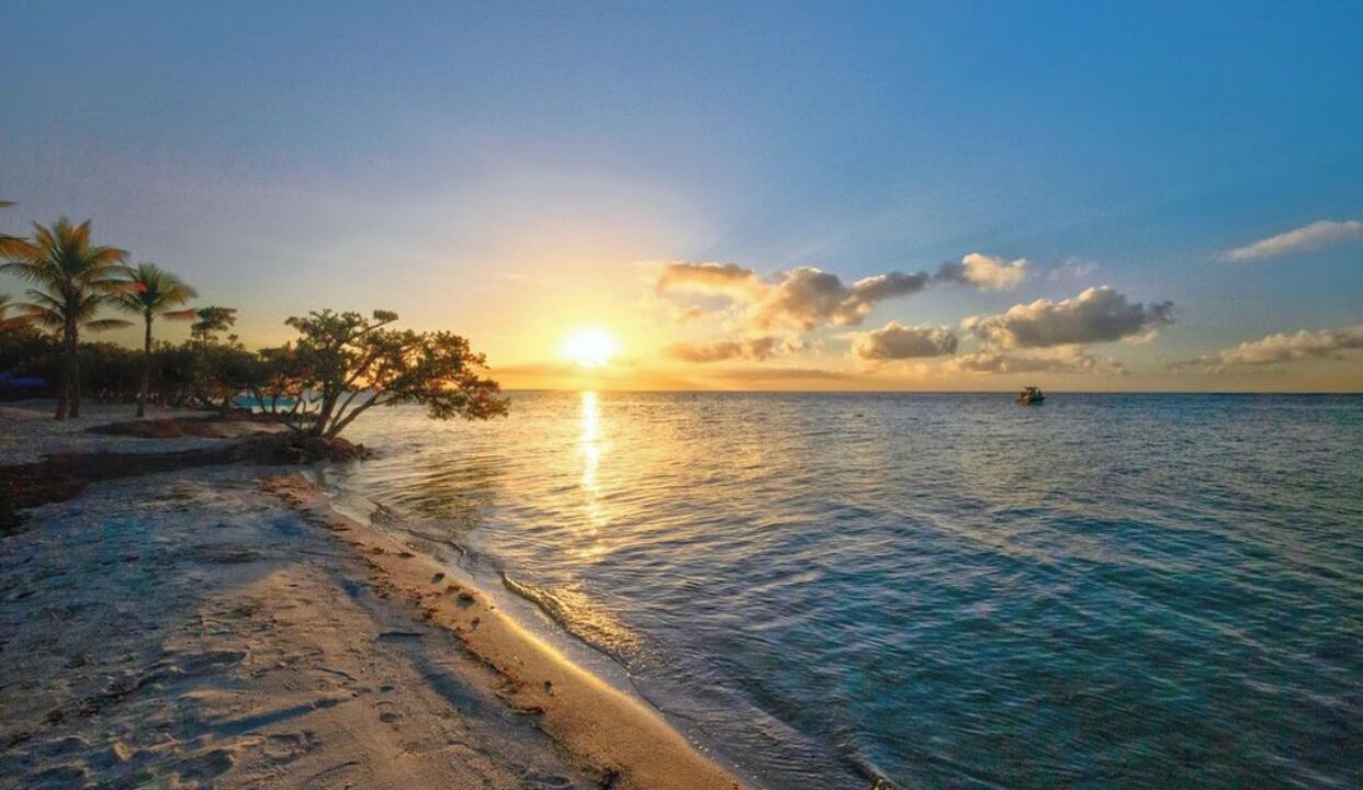 Photo of Others in Islamorada