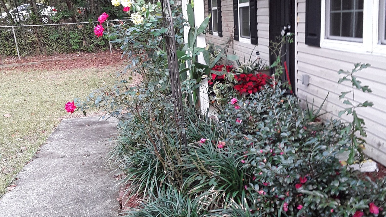 Photo of Outdoor in Tallahassee