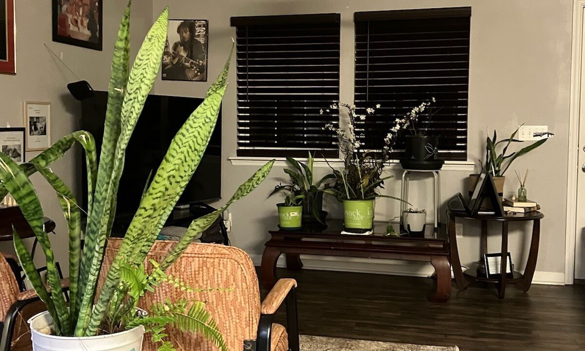 Photo of Livingroom in Tallahassee