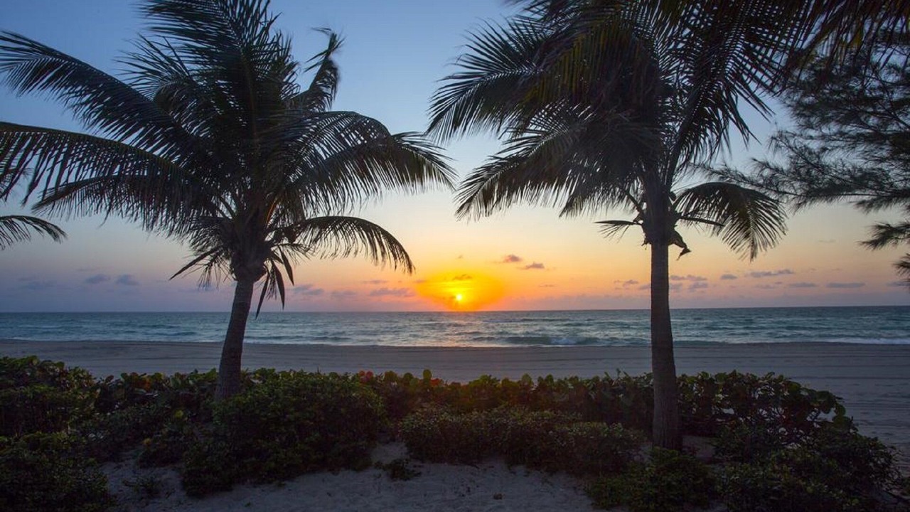 Photo of Others in Sunny Isles Beach
