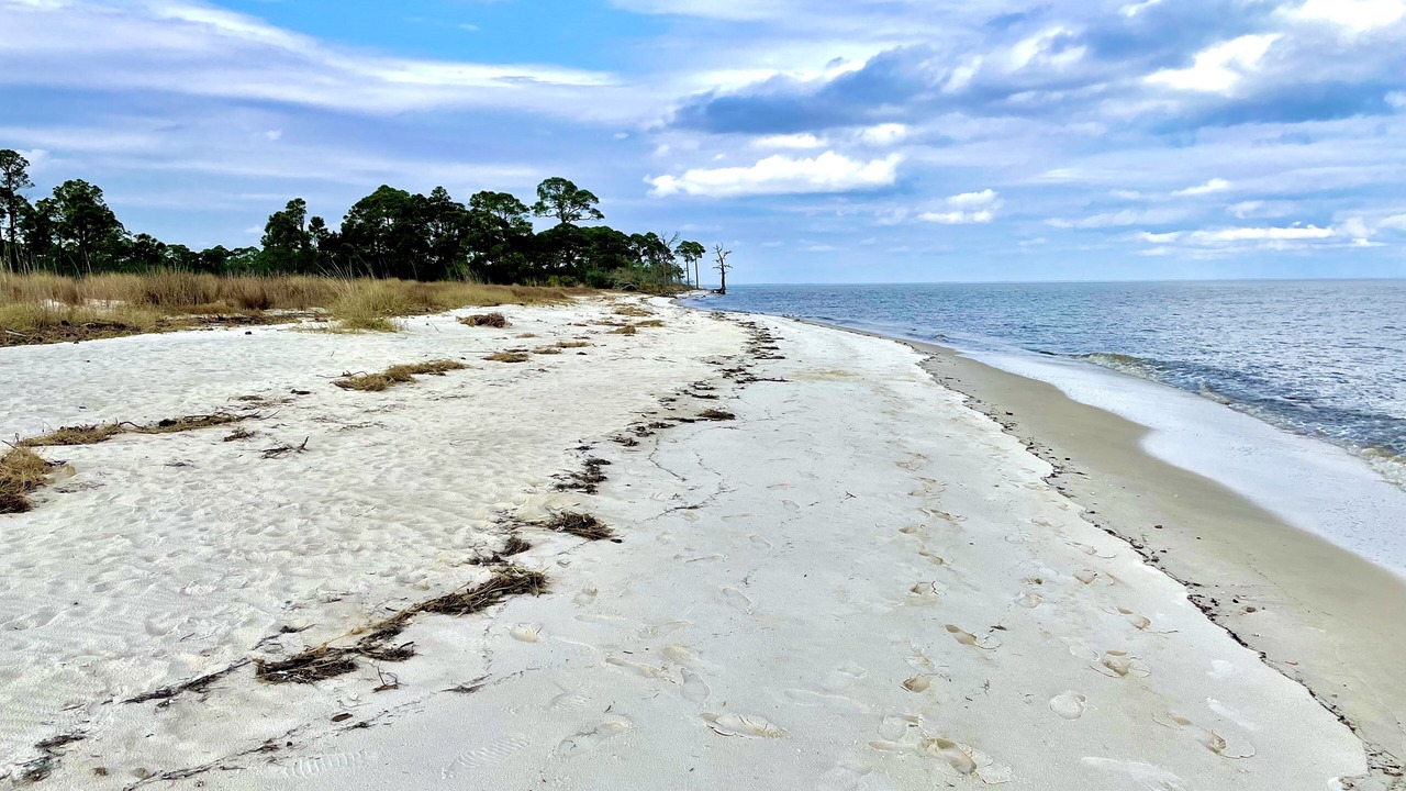 Photo of Others in Alligator Point