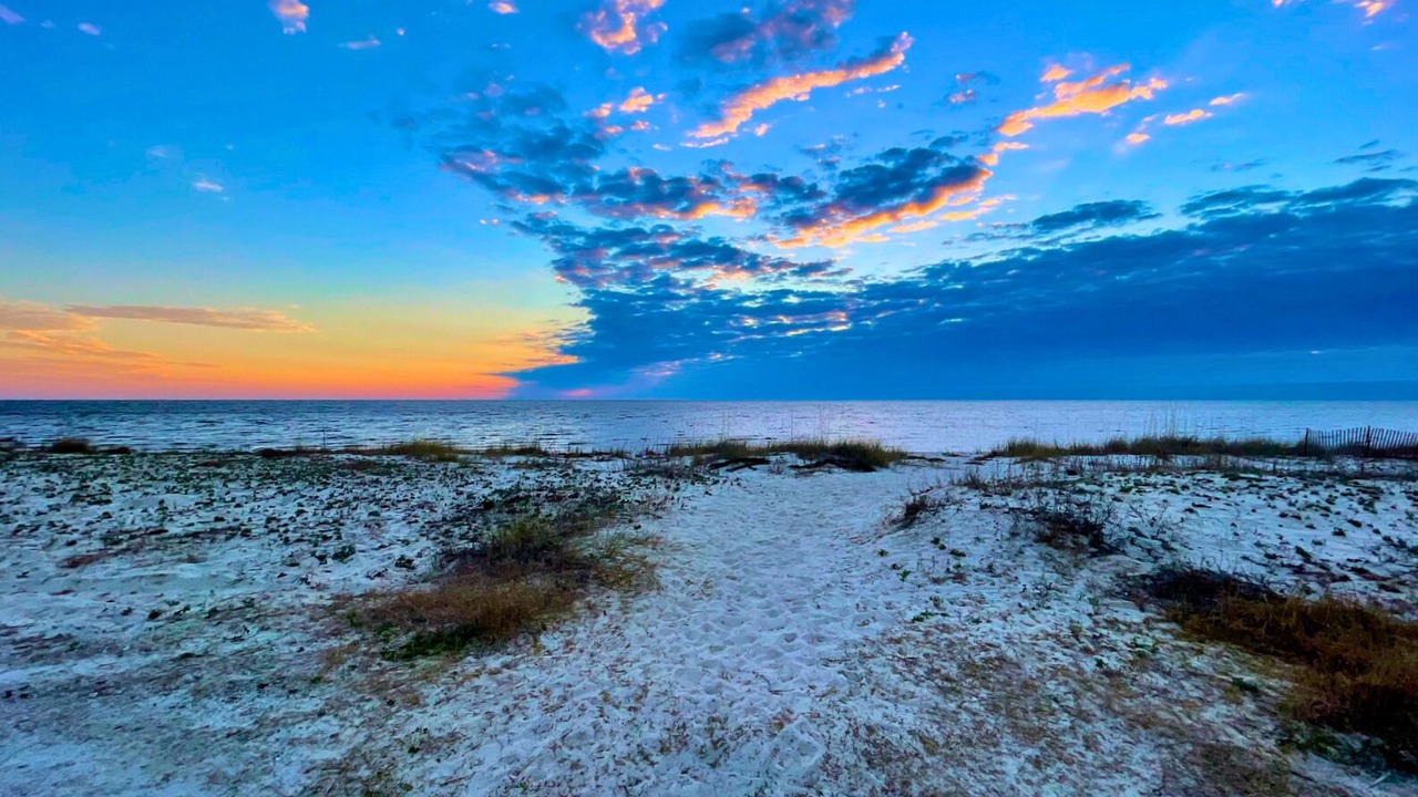 Photo of Others in Alligator Point