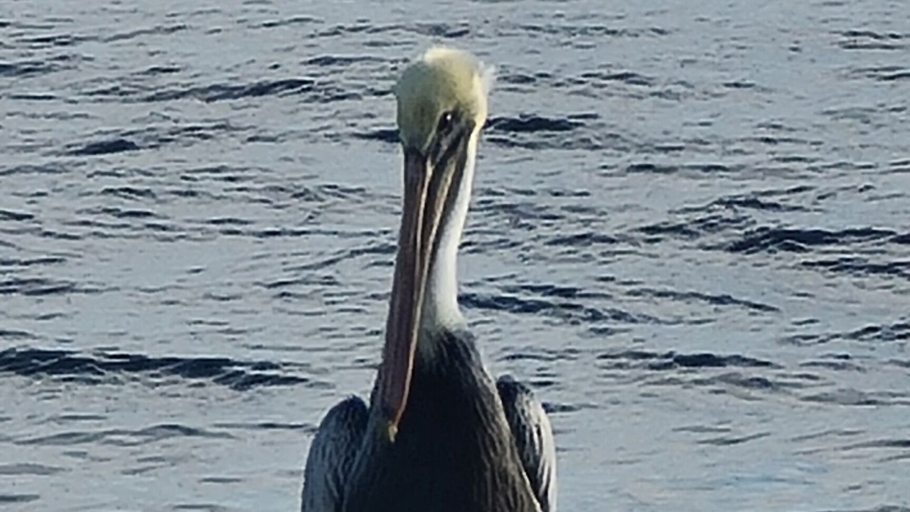 Photo of Outdoor in Bayview