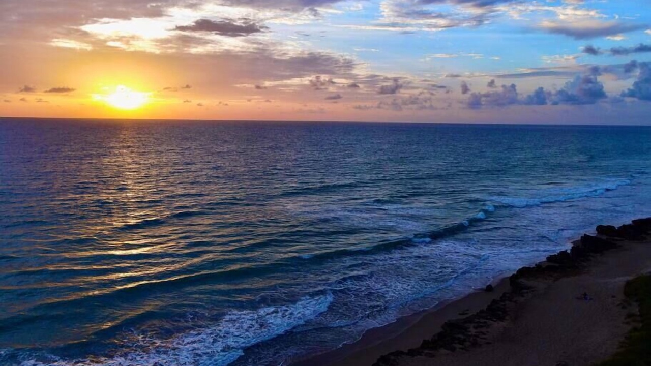Photo of Others in Stuart