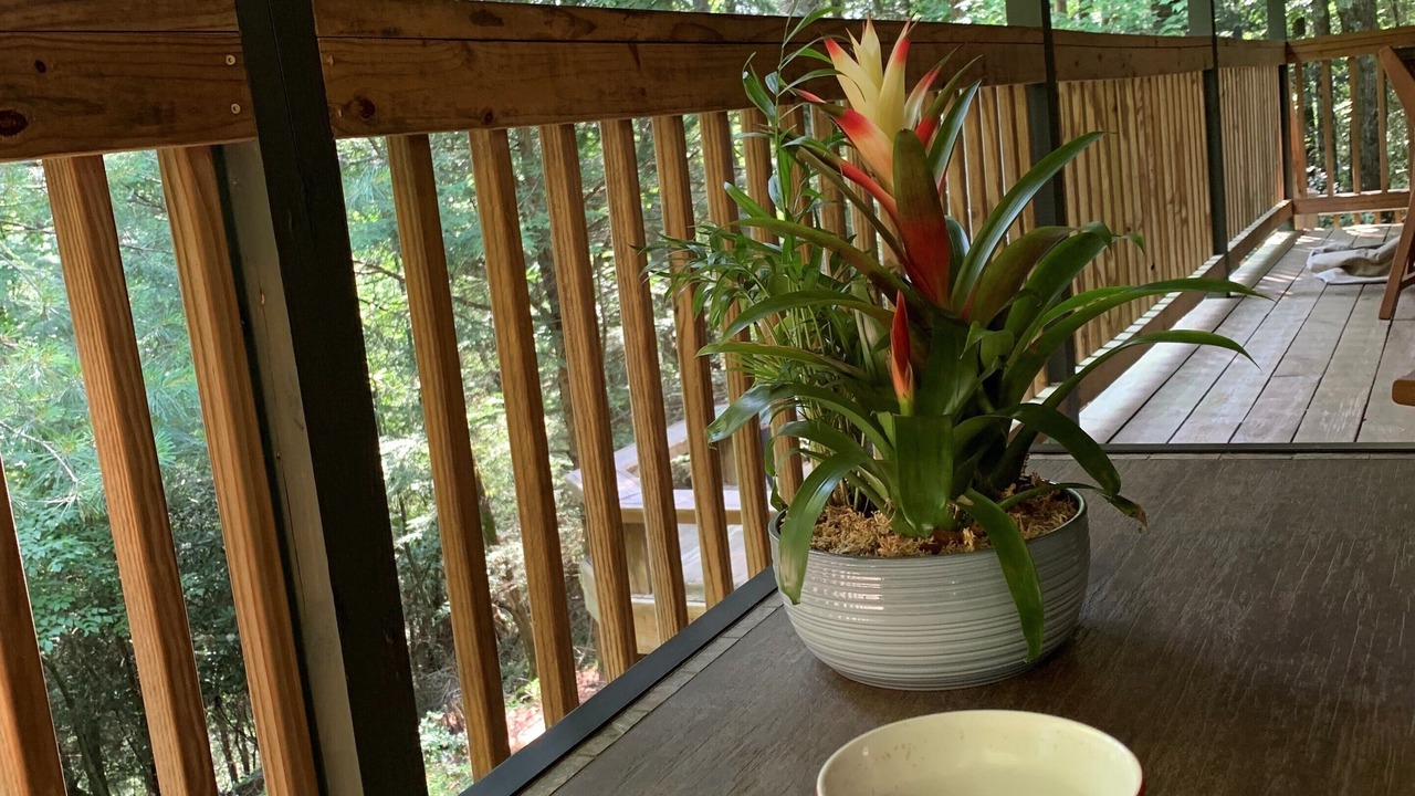 Photo of Outdoor in Ellijay