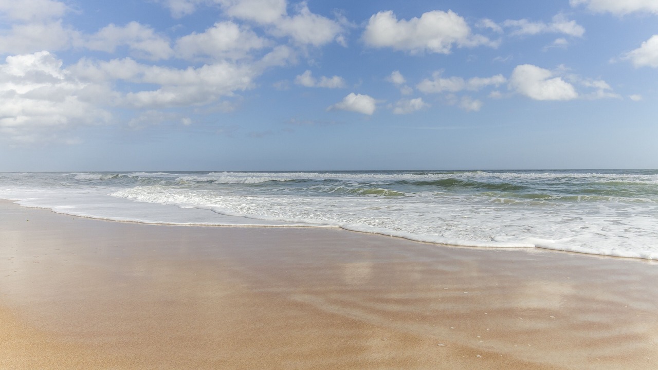 Photo of Others in Crescent Beach
