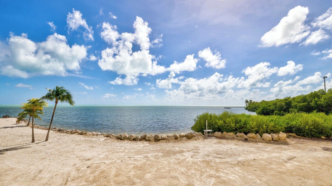 Photo of Others in Tavernier