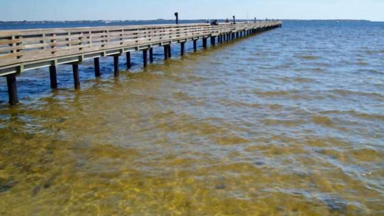 Photo of Others in Charlotte Harbor