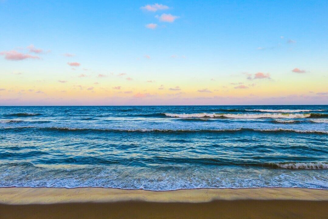 Photo of Others in Fort Myers Beach