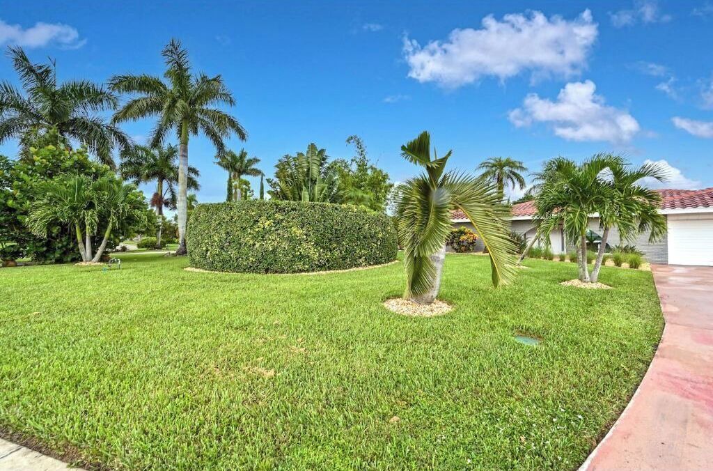 Photo of Outdoor in Palm River Estates
