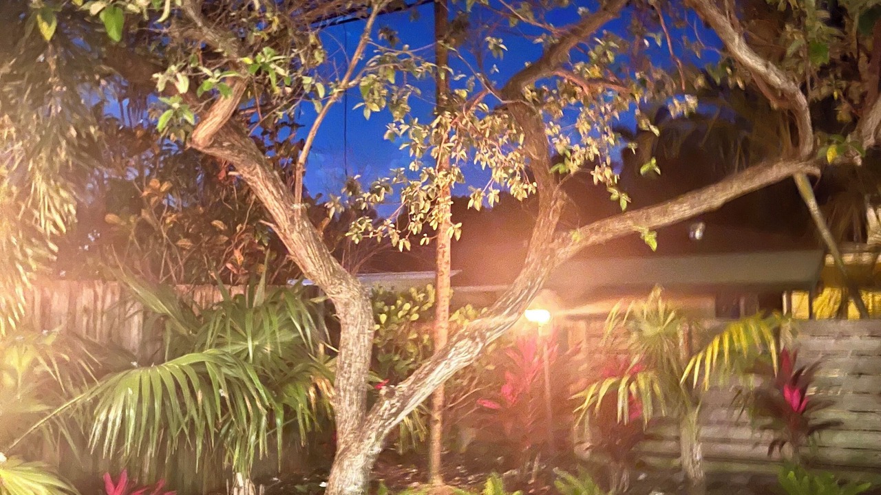 Photo of Outdoor in Cypress Point