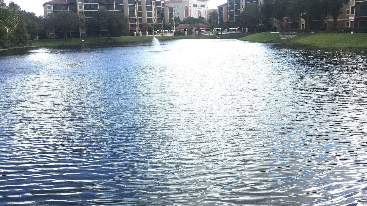 Photo of Outdoor in Florida Central Atlantic Coast