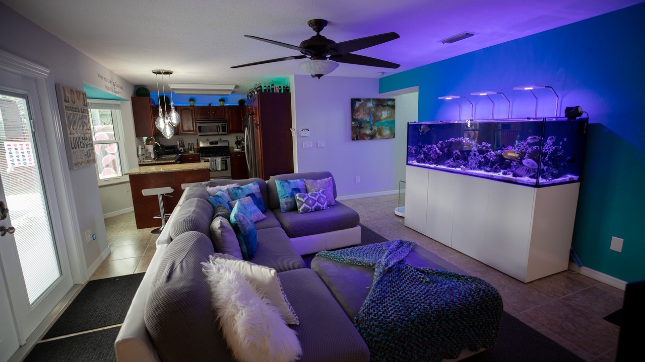Photo of Bedroom in Tropic