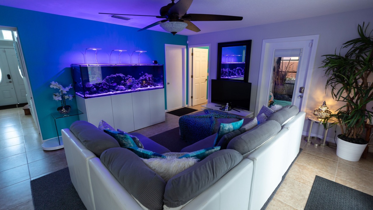 Photo of Bedroom in Tropic